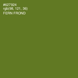 #627924 - Fern Frond Color Image